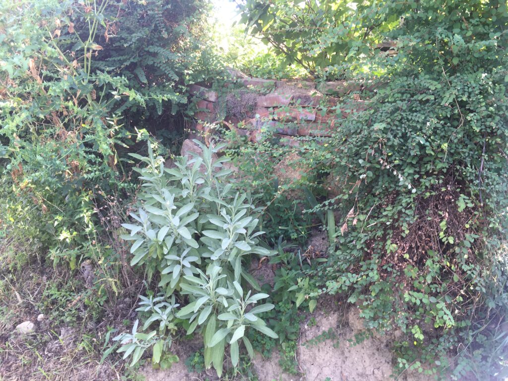 Kann es auch mal "unordentlich" sein?